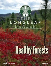 longleaf_cover longleaf_cover