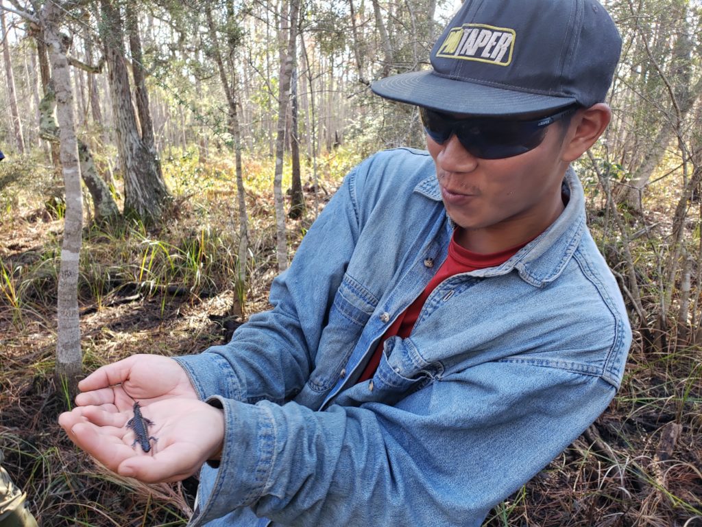 Abe holding a reticulated flatwoods salamander.