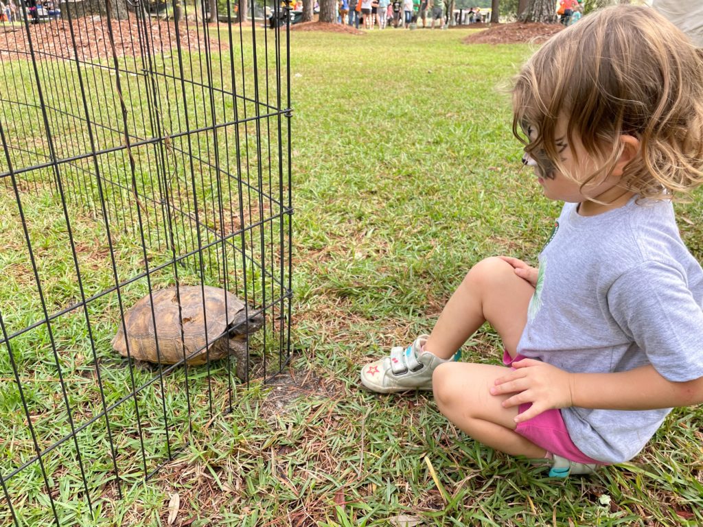 Meeting a gopher tortoise. Photo by Karen Zilliox Brown.