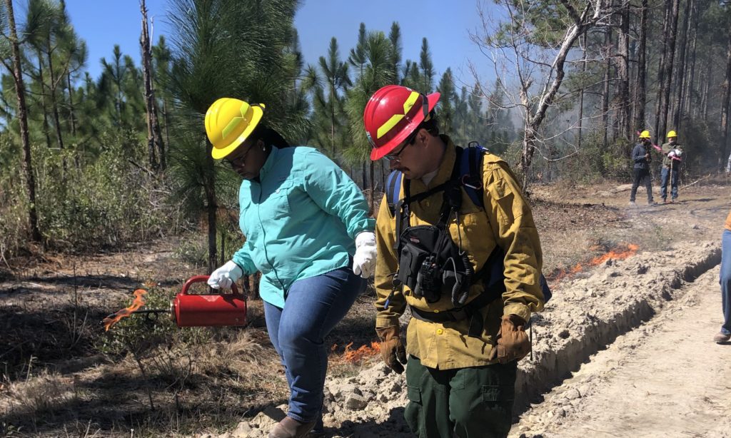 Hodges Farm Learn and Burn