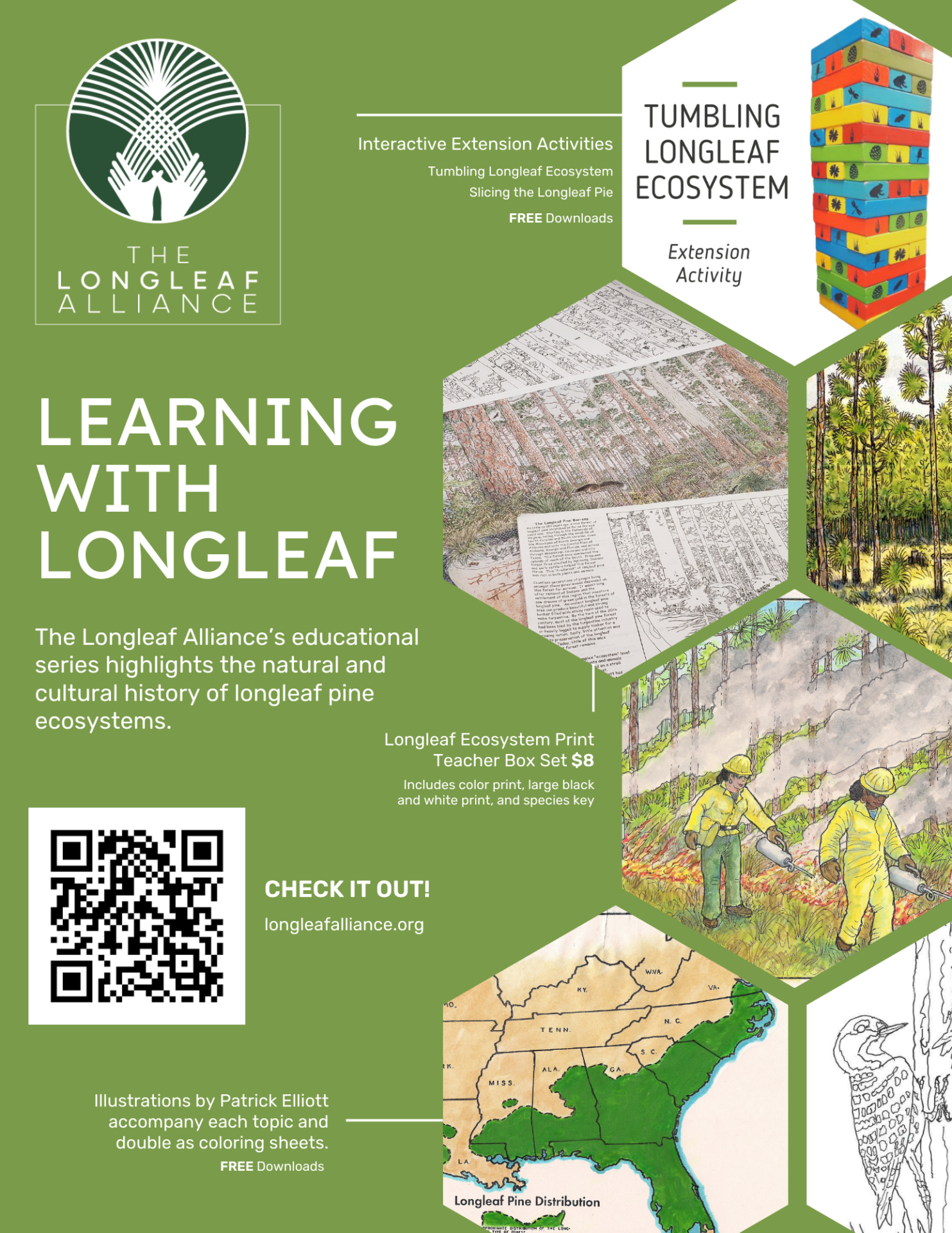 Learning with Longleaf Flyer