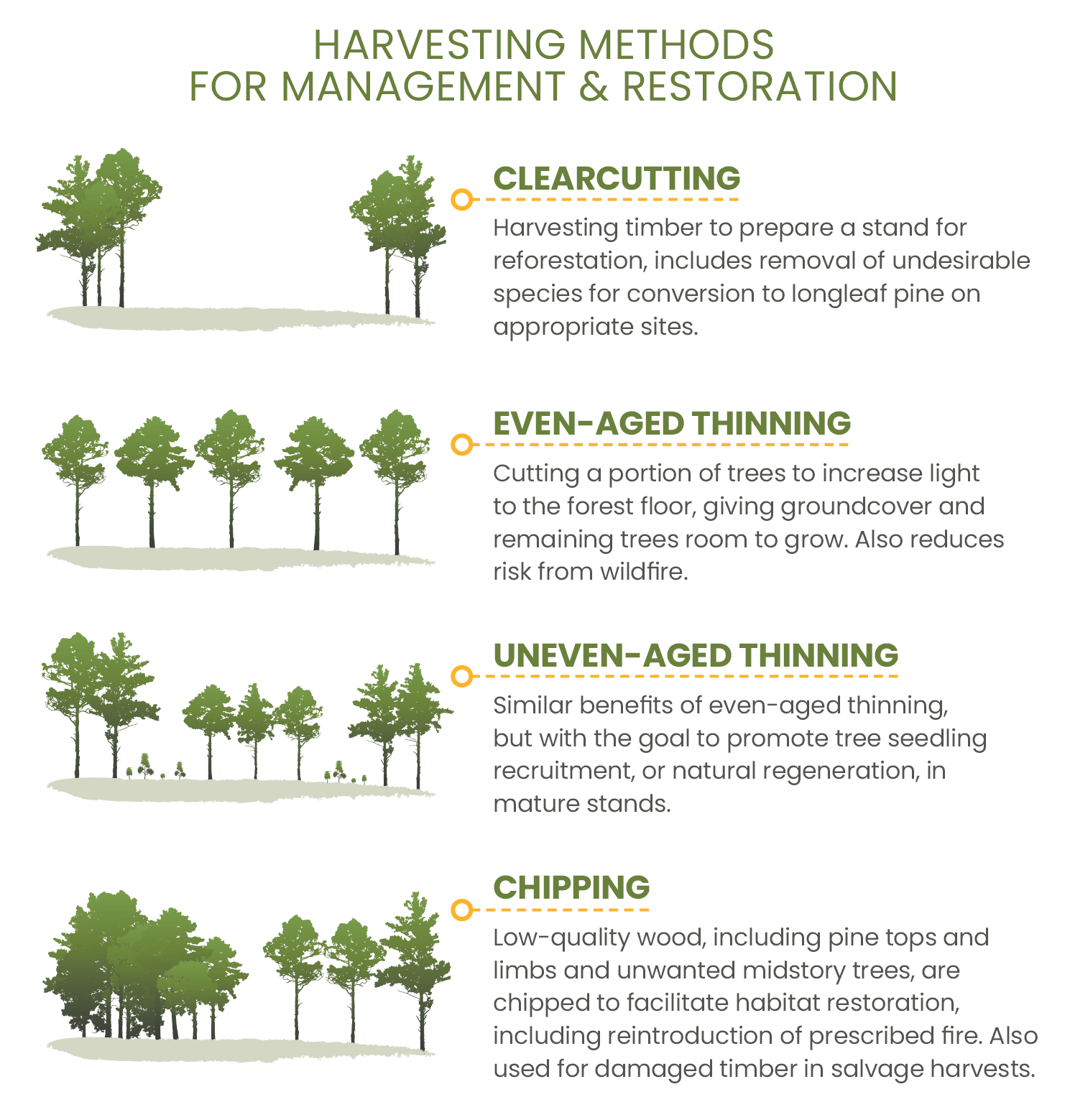 https://longleafalliance.org/wp-content/uploads/2023/08/Harvesting-Methods.png