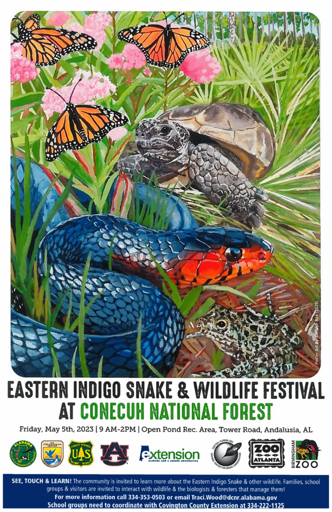 Indigo Festival Poster_Final
