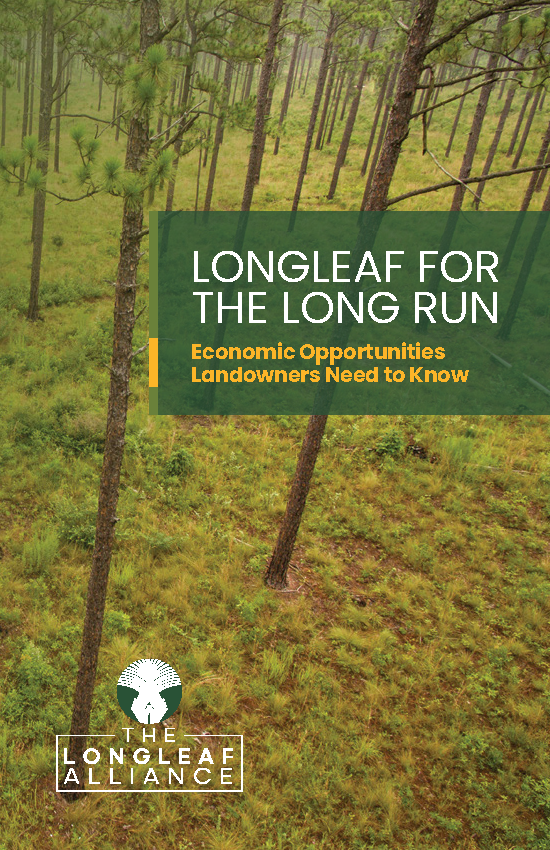 Longleaf for the Long Run_Page_01