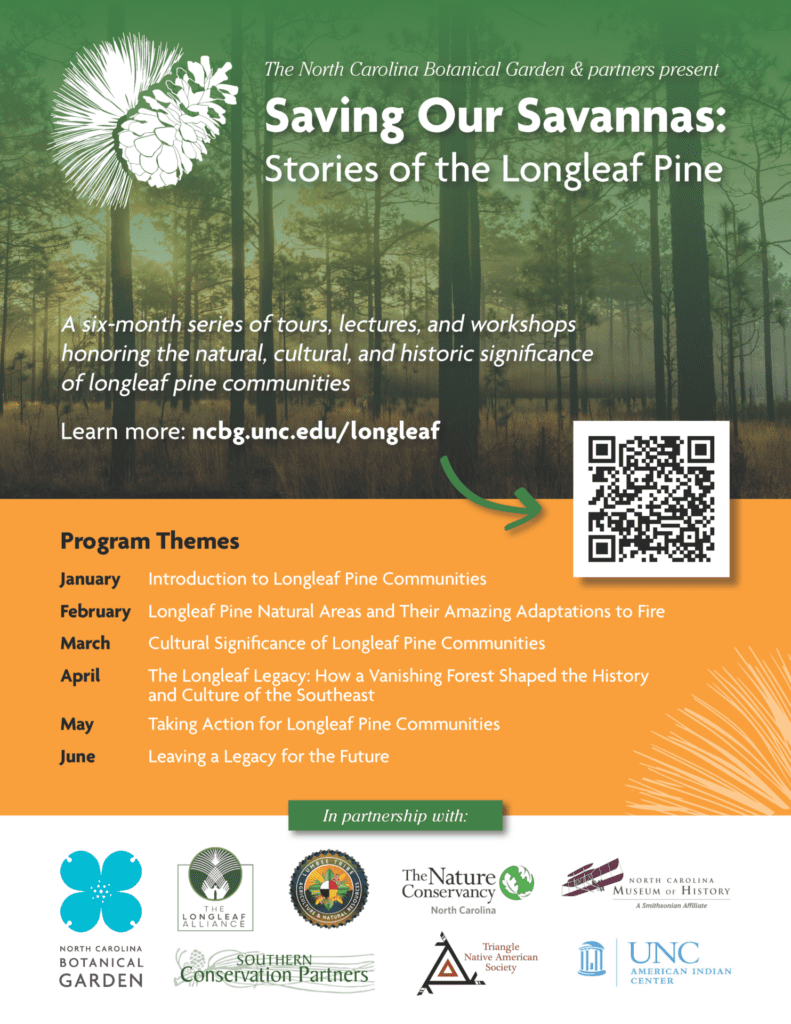 Saving Our Savannas – Stories from the Longleaf Pine – The Longleaf ...