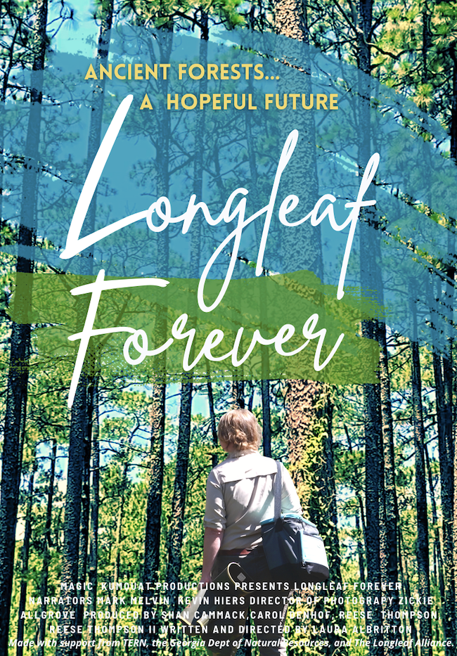 Longleaf Forever poster