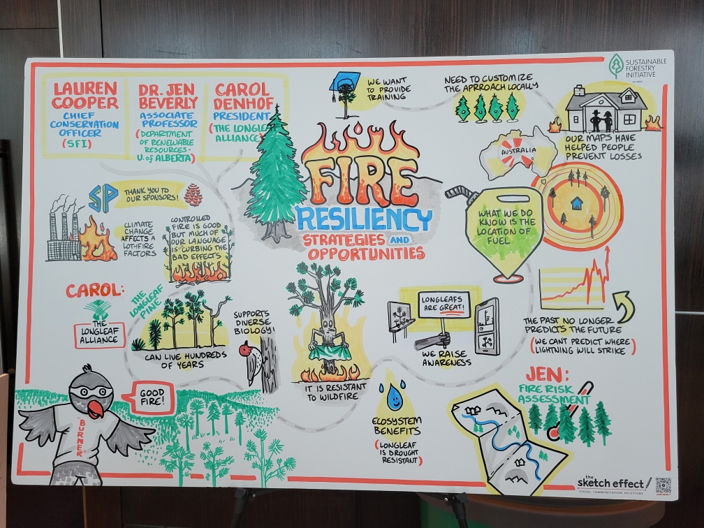 Ross, a live artist from The Sketch Effect, drew the big ideas and learnings from the Fire Resiliency Strategies and Opportunities session.